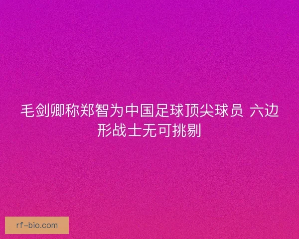 毛剑卿称郑智为中国足球顶尖球员 六边形战士无可挑剔